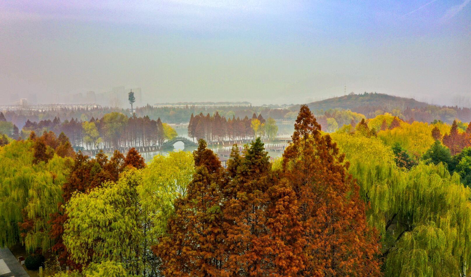 泗阳生态公园：绚丽冬日 色彩斑斓