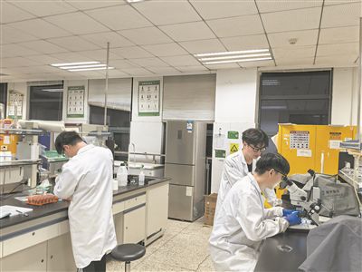 图为南京财经大学学生正在进行粮食安全实验。受访者供图