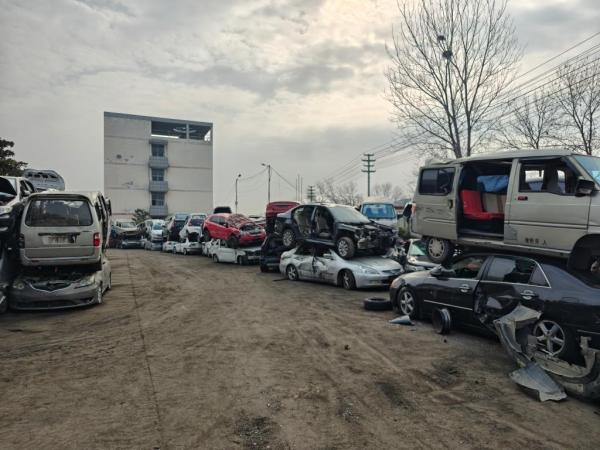 在一家正规报废汽车拆解利用企业，待报废车辆摆放在厂区。新华社记者王阳 摄 